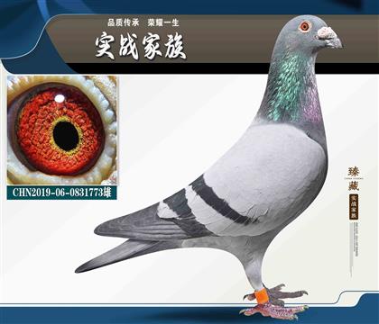 �w�ȳ����W�XӢ��˹178�OŮ