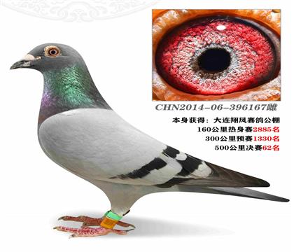 S䌦ơֱOŮ Qِ62λ