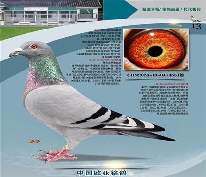ɣʿԭѪy(tng)042X_(ti)¼F(tun)ǹɣʿ061ֱŮ