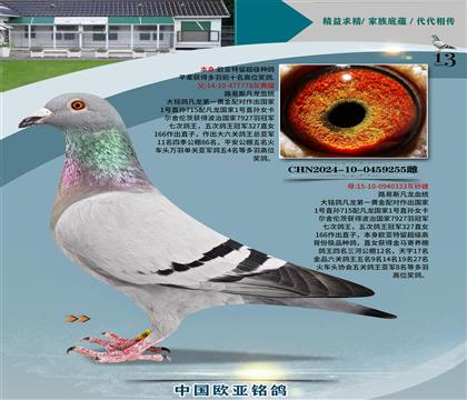 ·˹778X333һS䌦(du)