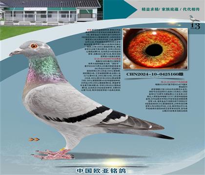XRu݆̖(ho)XƷN614ֱŮ