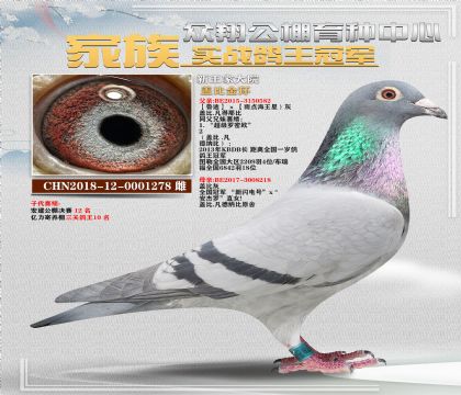 ҴԺwȽh(hun)278