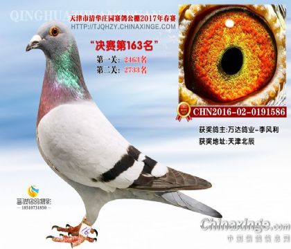 ^Mϵ(qing)f_(d)I(y)ĸ@(jing)