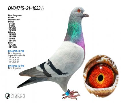 ^塱Zԭ