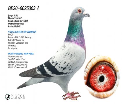WԭᡰWƥ03Ѫϵ