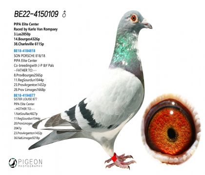 ]r911ֱ~N