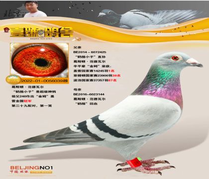 Ҽ̖ңҡ240ֱOŮ
