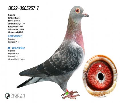 OwꡰȡֱOŮ