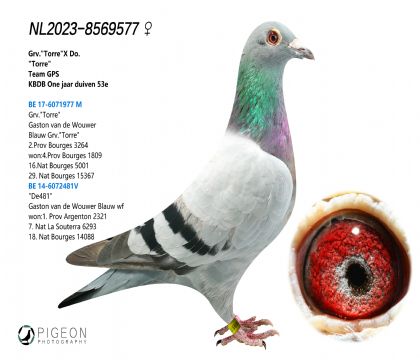 䌦~240ֱOX240ֱŮ