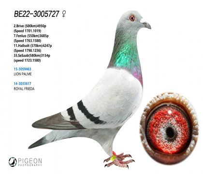 wȳ䌦~{Xʼһҡ