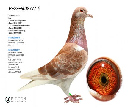 Ͽ.ǲ ütֱ̖xRֱŮ