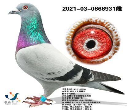 ɽꖹI(y) wѪϵ