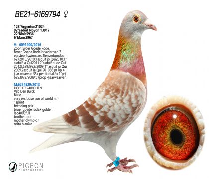 ǲԭᡰSW999