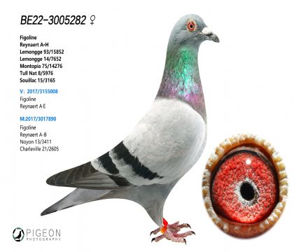 OwꡰȡֱOŮ