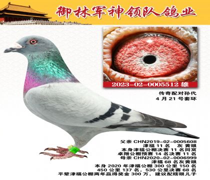 ܊䌦O