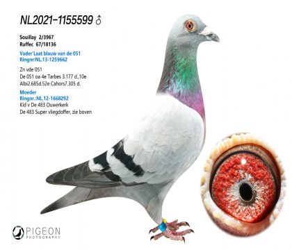 W߿ԭᳬ483O