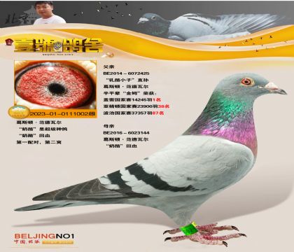 Ҽ̖ҳѪ