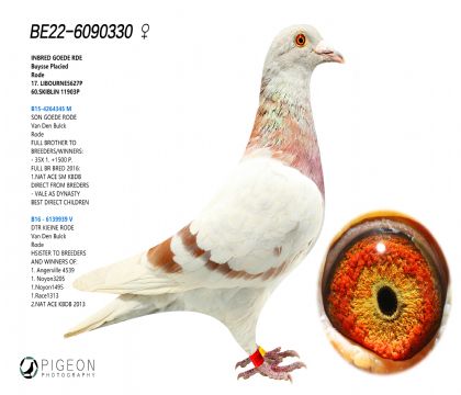 Ͽ.ǲ ütֱ̖ӻؠֱֵŮ