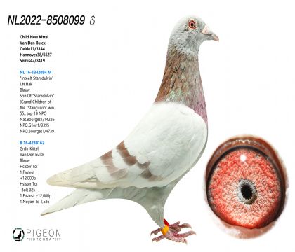 Ͽ.ǲˡüt̖Ѫ