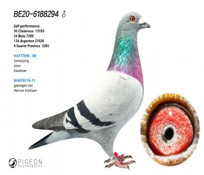 ˹Dҡ  698pػѪ