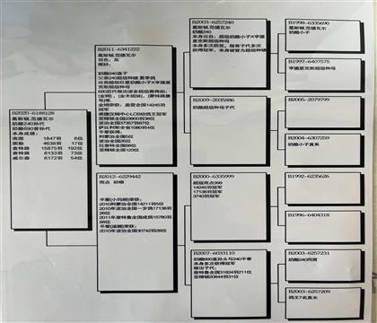6188128