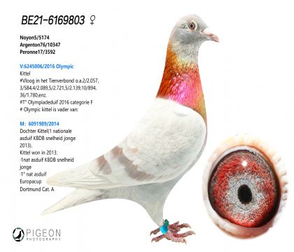 ]Ͽ.ǲ Wƥ006ֱϵ