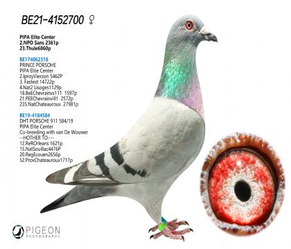 rӡXr911ֱŮ