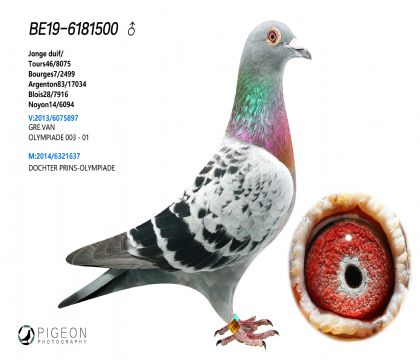 ]WԭᡰWƥ003ֱOXֱOŮ