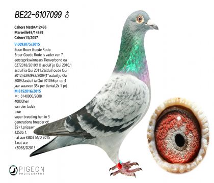 ǲԭ᣺ütֱ̖OXütֱŮ