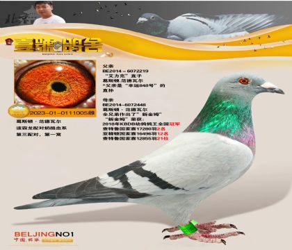 Ҽ̖ᡰˡ峬ĸ