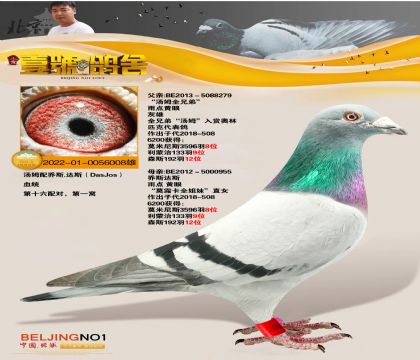 Ҽ̖5ι܊