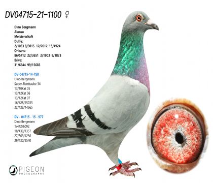 Z-ԭ ¡O ^һ·Ѫϵ