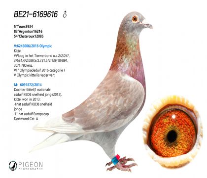 ǲԭᡱؠOŮ~t