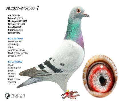 ϲWƥZL(fng)ֱOŮ