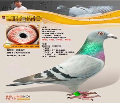 Ҽ̖̝h