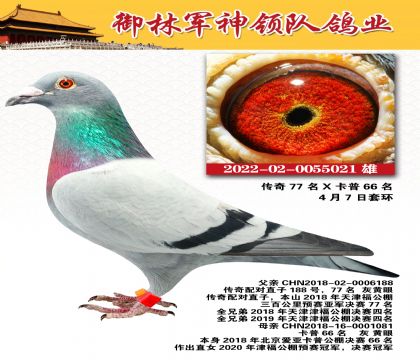 ܊I(lng)ꠡ䌦ֱ