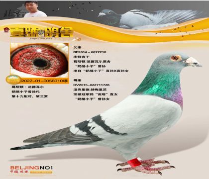 Ҽ̖ᏈҡѪϵ (ni)õ