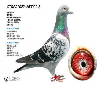 _ ˾T䌦 P(gun)49λ