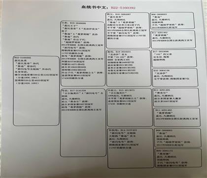 5160392