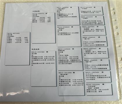 8071666