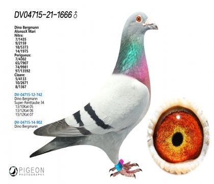 ^ Zԭh