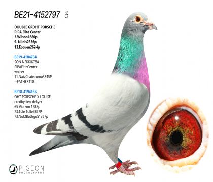 (qing)]½ķֱXr911x¶׽zֱŮ