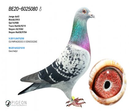 WR˹Wƥ00ֱӊWƥ003ֱŮ