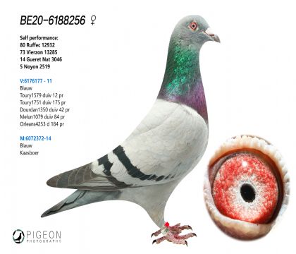 (qing)]098ֱOŮĸ
