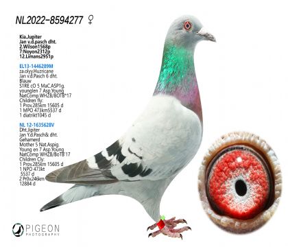 ءľ̖Oĸ