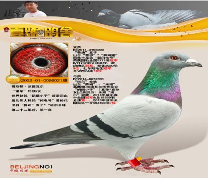 Ҽ̖ᏈҡXwȡѪϵ  䌦