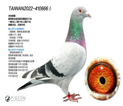 _P(gun)27λ  ҡ½ķѪ
