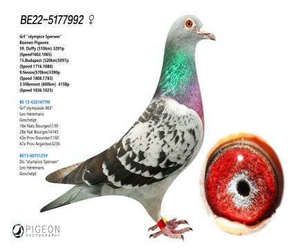 Wƥ003ػѪ ߷ِ ٶȰ