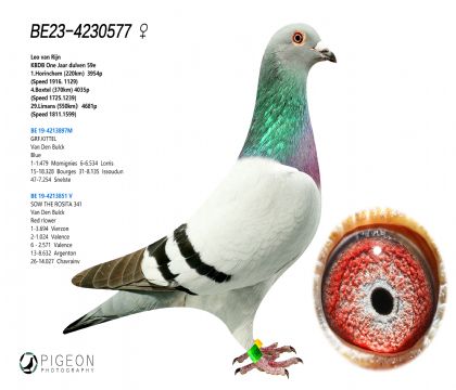 ٶȴϵǲˡؠѪϵ  ߷ِ