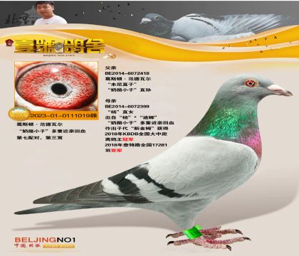 Ҽ̖ᏈҡѪϵ (ni)õ